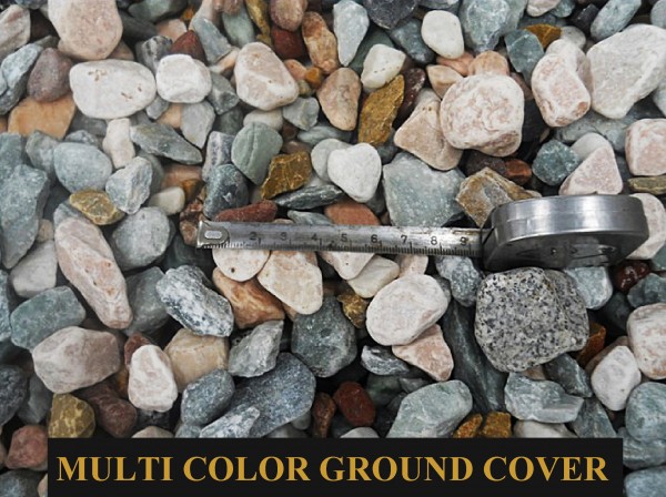 MULTI COLOR GROUND COV FB 1